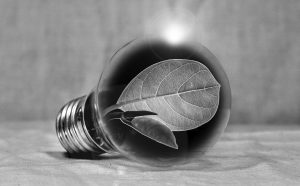 Photo montrant une ampoule au sein de laquelle une feuille symbolisant une énergie propre et renouvelable (non source d’émission de gaz à effet de serre responsables du réchauffement climatiques)